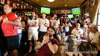 Pick the right beer and avoid red wine at all costs: How to avoid a World Cup hangover ahead of England's 9pm kickoff with Ghana