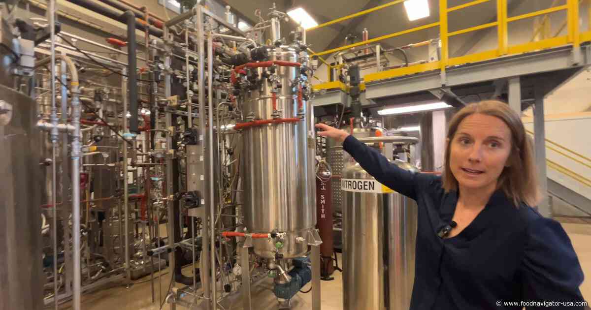 Precision fermentation scale-up: Inside a pilot plant for next-gen food ingredients