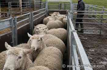 Nearly 7,000 farmers to receive first FETF 2026 agreements