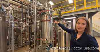 Precision fermentation scale-up: Inside a pilot plant for next-gen food ingredients