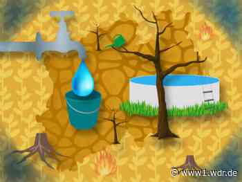 Hitze-Sommer: Wird das Trinkwasser in NRW jetzt knapp?