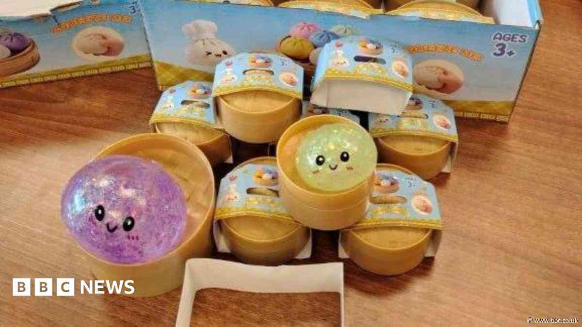 Council warns public about potentially toxic toys