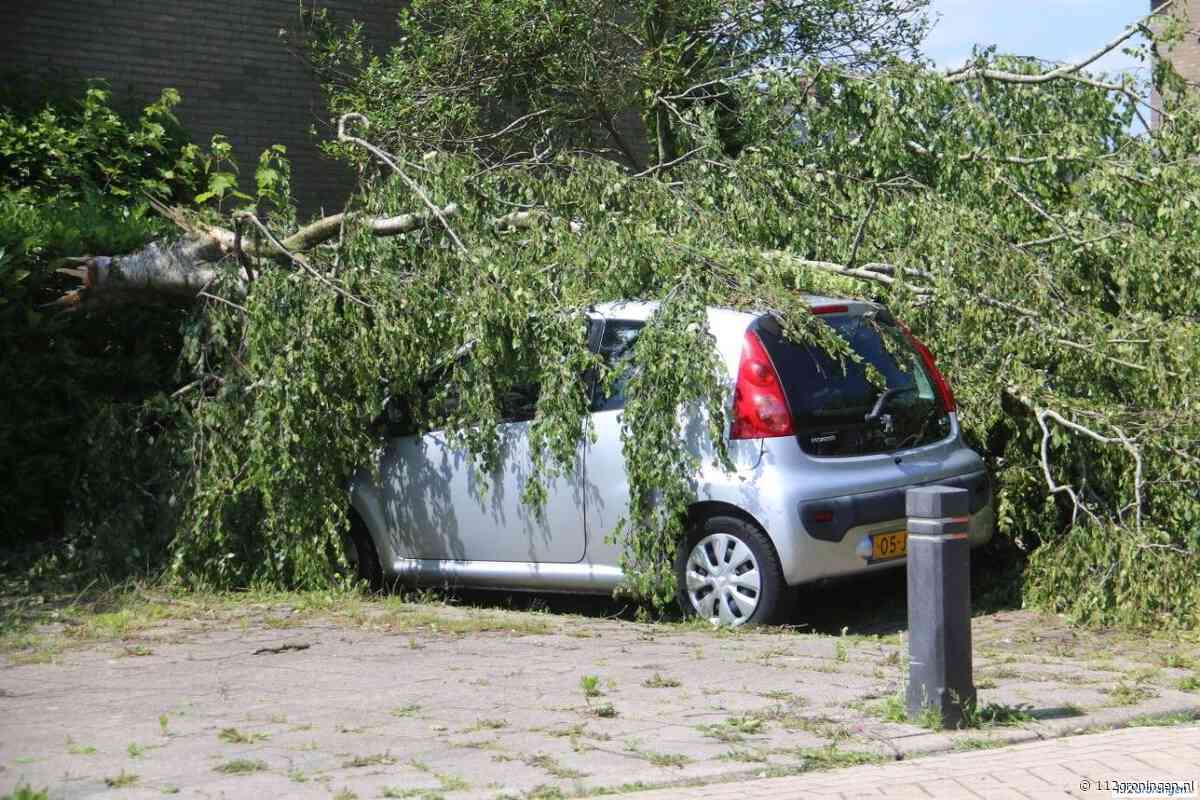 Opruimen van de stormschade in Groningen duurt nog weken