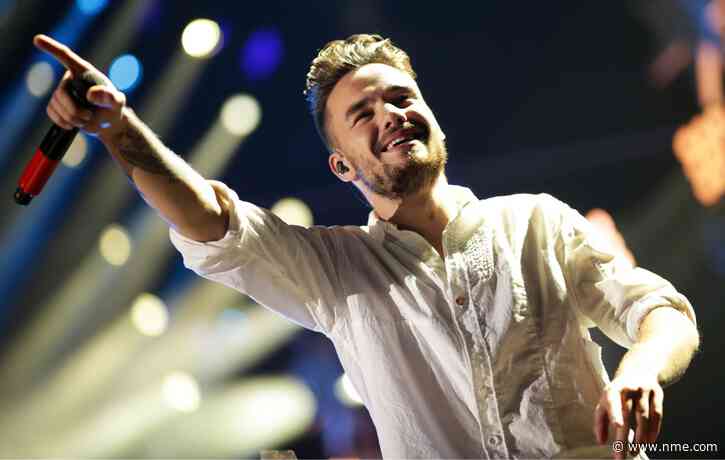 Liam Payne’s nine-year-old son Bear named sole beneficiary to inherit $29million estate