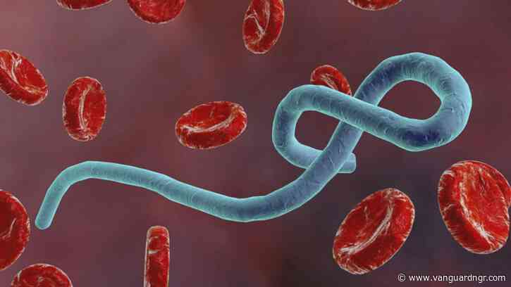 Ebola: Over 1,000 people infected in Congo
