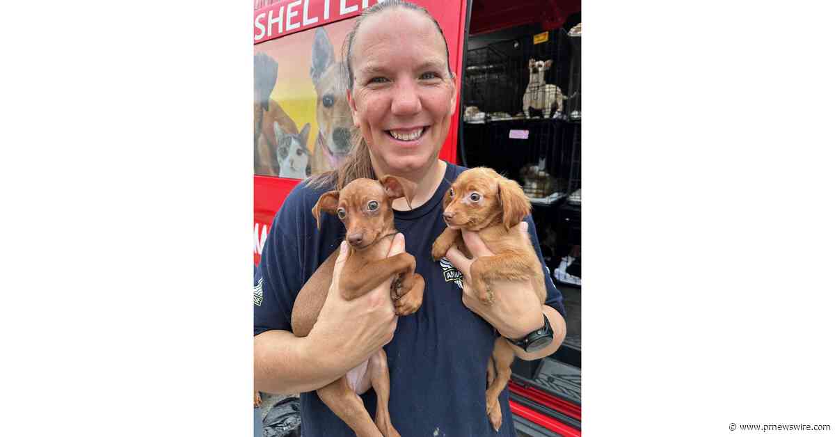 More than 150 animals graduate from Animal Rescue Corps Rescue Center