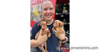 More than 150 animals graduate from Animal Rescue Corps Rescue Center