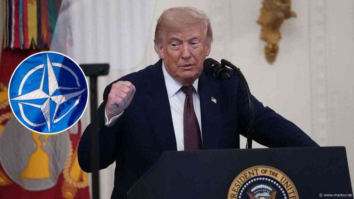 Trump wütet vor Rutte-Besuch gegen NATO: „Sie waren nicht für uns da“