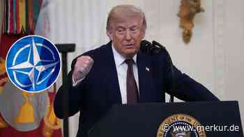 Trump wütet vor Rutte-Besuch gegen NATO: „Sie waren nicht für uns da“
