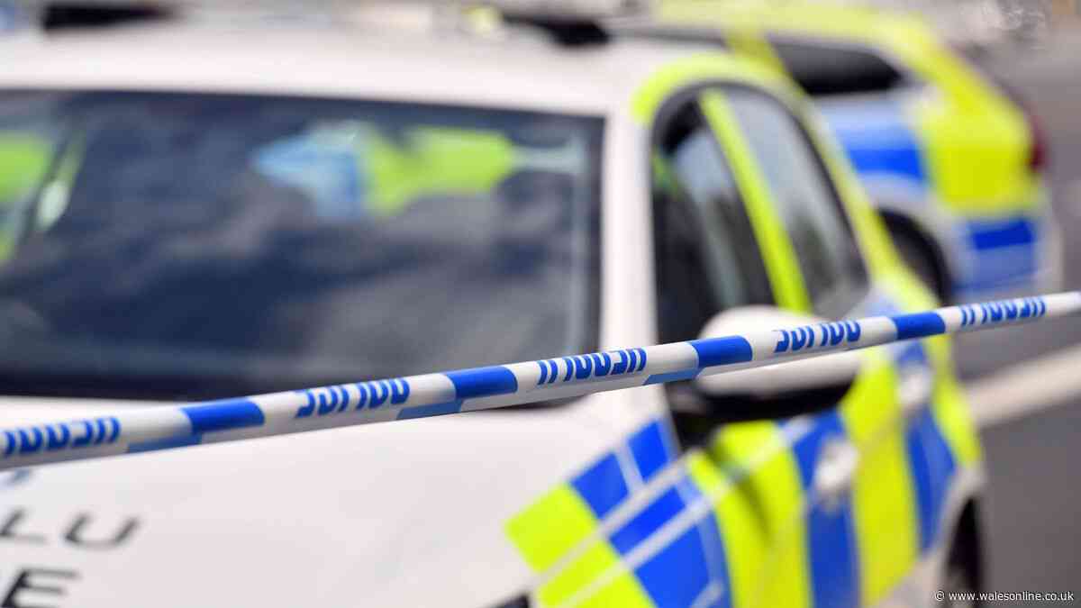 Person reportedly raped outside portaloo at Young Farmer's event