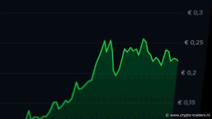 Kleine cryptomunt stijgt 400% en groeit uit tot Bitvavo-topper