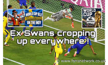 Swans still have positive and negative World Cup impact