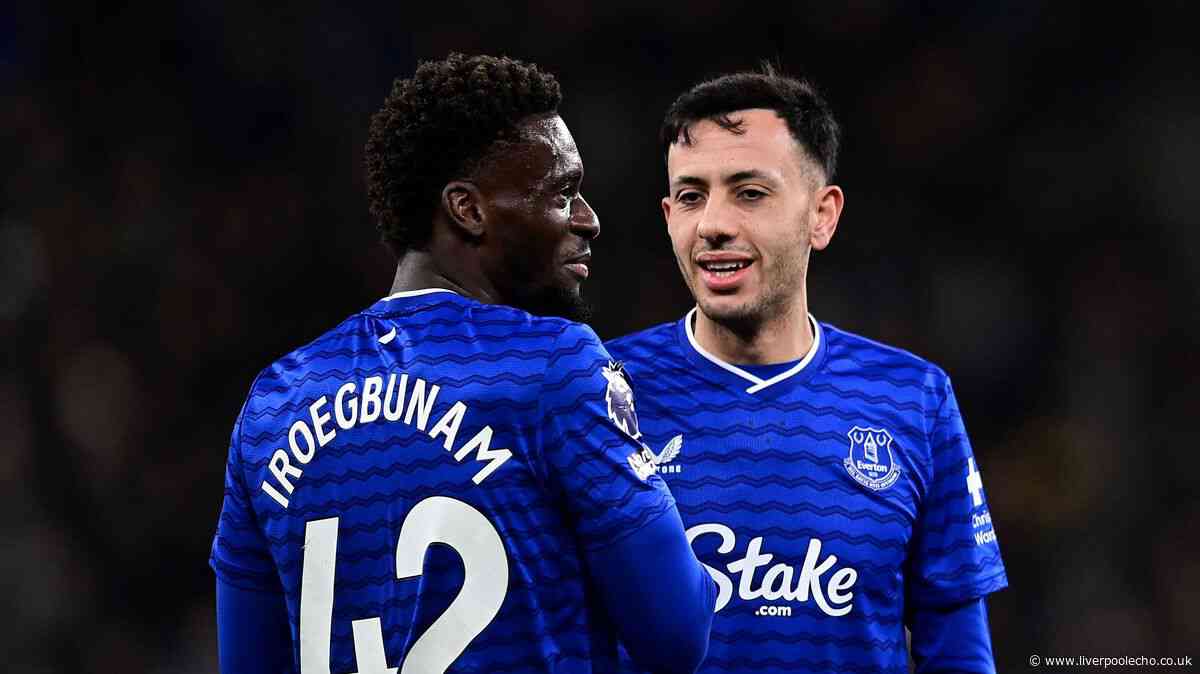 Everton £20m-rated midfielder a transfer target for Premier League new boys