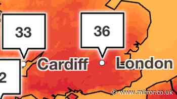 UK heatwave horror as schools send pupils home ahead of forecast to break 50-year heat record