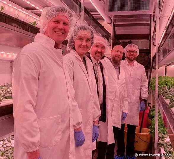 Food bank sees green as Kingston’s Fines for Food pilot helps grow fresh produce