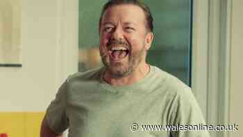Ricky Gervais new Netflix sitcom Alley Cats details from release date to cast
