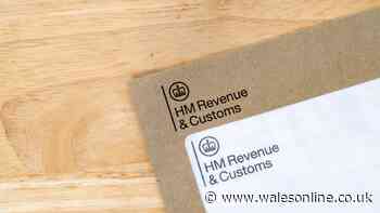 Millions in UK alerted to 'easily overlooked' HMRC deadline on July 31