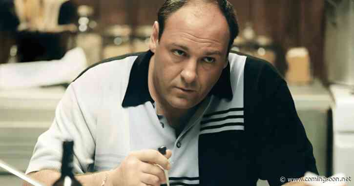 The Sopranos Actress Recalls ‘Incredible’ Sex Scene With James Gandolfini: ‘I Was on Top’