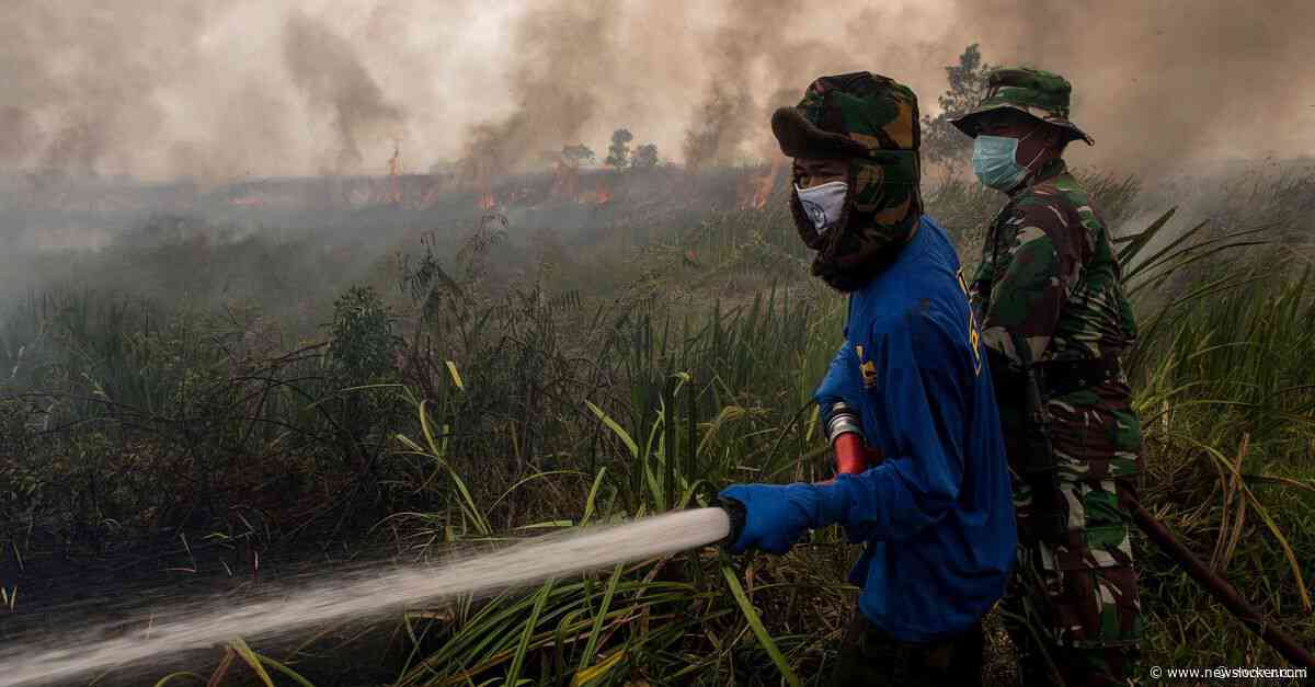 El Niño is begonnen en wordt ongekend krachtig. De effecten kunnen blijvend zijn