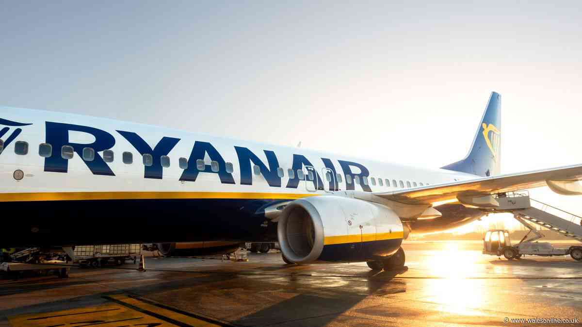 Ryanair boss has called for air traffic control boss to quit after Bristol Airport fiasco
