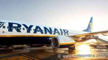 Ryanair boss has called for air traffic control boss to quit after Bristol Airport fiasco
