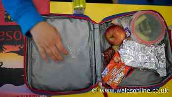 Parents urged to put one item in children's school lunchboxes until Friday
