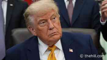 Trump insists Iran 'fully and completely agreed to highest level nuclear inspections'