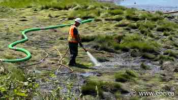 Comox residents call for independent inquiry into major sewer spill in May