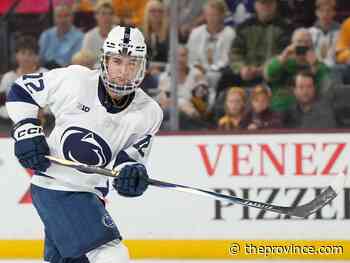 NHL draft: Who will the Canucks pick? We weigh the odds on 10 players