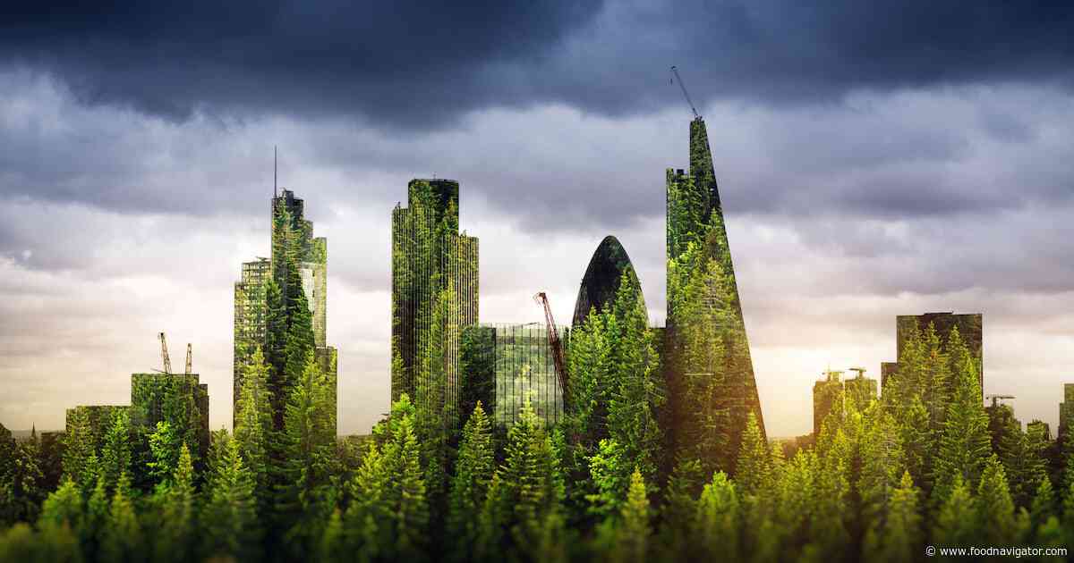 British EUDR? UK government to introduce anti-deforestation rules