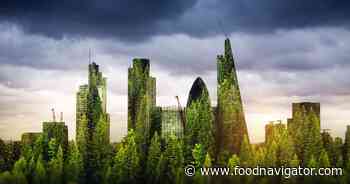 British EUDR? UK government to introduce anti-deforestation rules