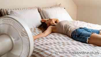 Doctor warns why you shouldn't go to sleep with a fan on during 35C heatwave