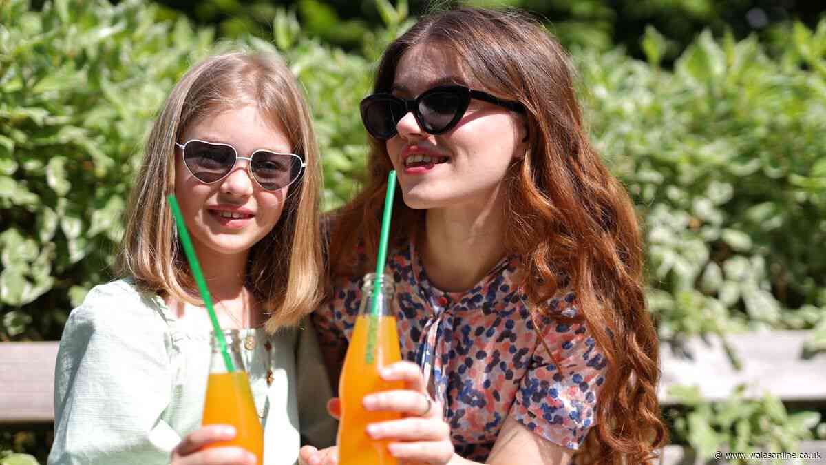 Sodastream 'saved us a fortune on fizzy drinks' and now half-price on Amazon