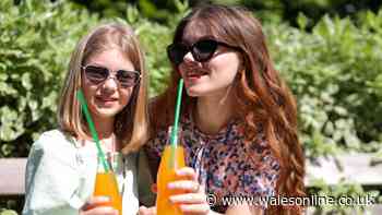 Sodastream 'saved us a fortune on fizzy drinks' and now half-price on Amazon