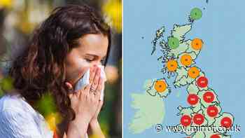 Hay fever injection cost, side effects and how to book ahead of UK 'pollen bomb'