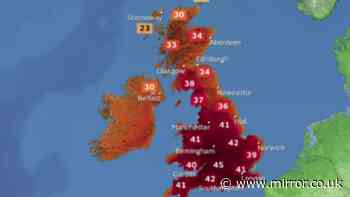 Met Office releases 'sobering' 45C heatwave prediction with devastating impacts