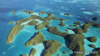 Billionaire to invest in ocean protection as UK and US scale back funding