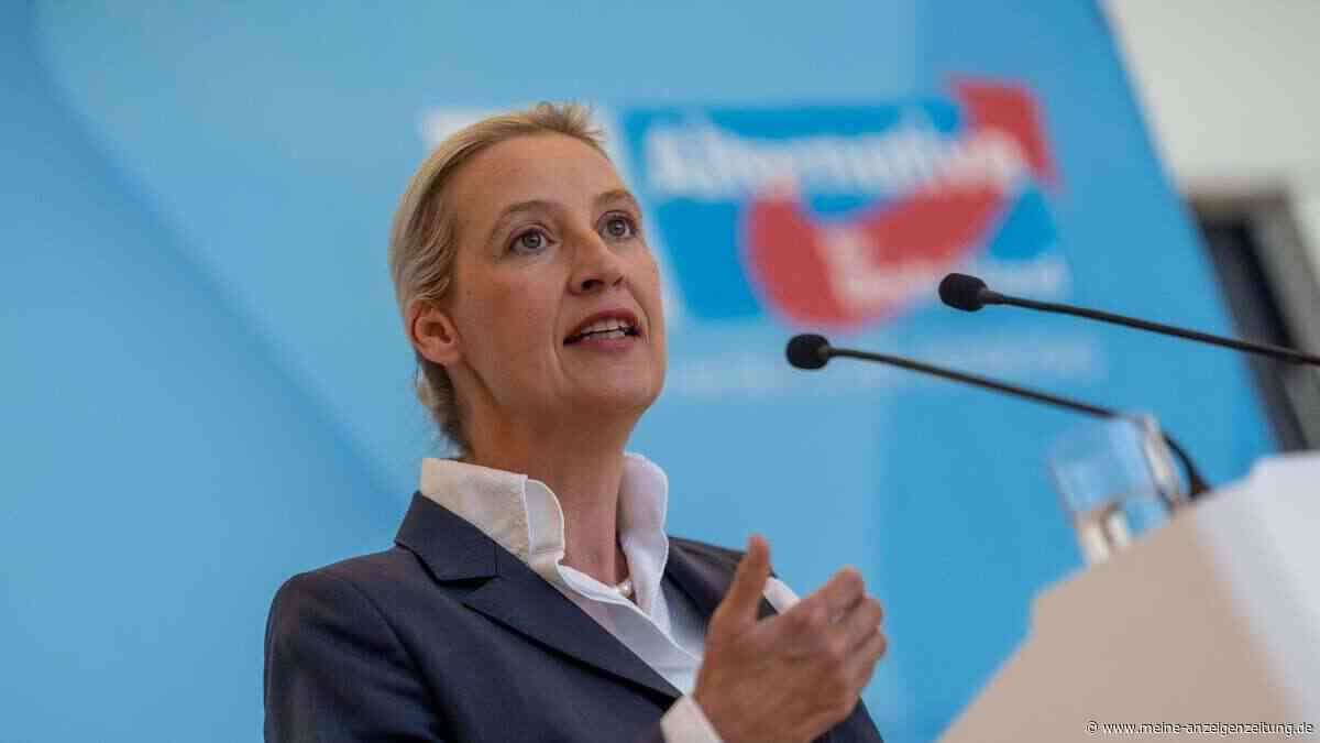 Weidel kritisiert „Zumutungen“ der Rentenkommission