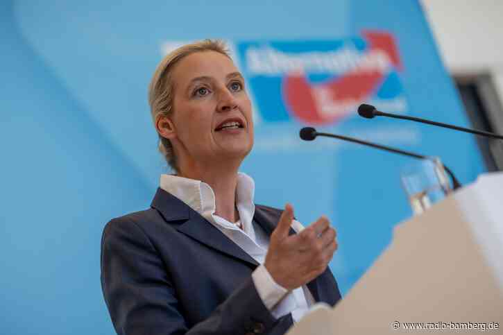 Weidel kritisiert «Zumutungen» der Rentenkommission