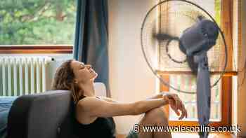 Welsh homes will keep cool during a heatwave using simple tip — no fan or air conditioning