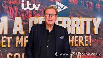 Harry Redknapp shares update on 'dangerous' health issue after wife Sandra's concerns