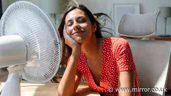 Brits warned not to use electric fans in heatwave as weather set to reach 40C