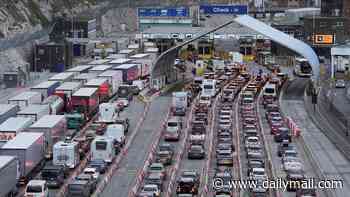 French delays mean Dover's £40m EU check site unlikely to open in time for summer holidays, port chief admits