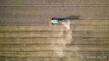 Hittegolf brengt Europese tarweoogst in gevaar