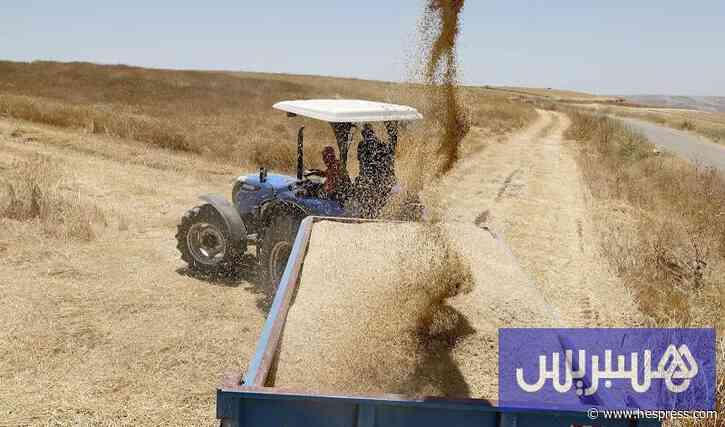 توقع بارتفاع نمو الاقتصاد المغربي