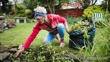 BBC Gardeners' World expert reveals four ways to give your lawn a boost this month