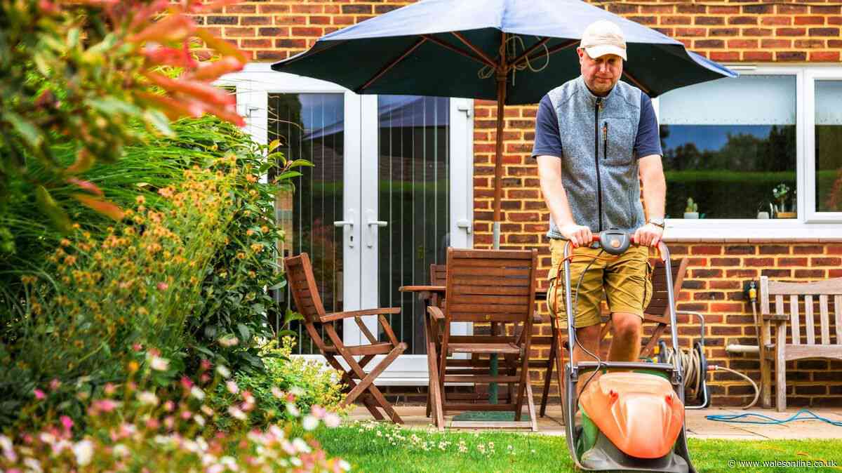 Gardeners’ World expert shares four top tips to give lawn a boost at the end of June