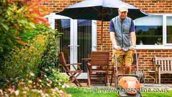 Gardeners’ World expert shares four top tips to give lawn a boost at the end of June