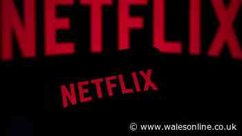 'Emotional masterpiece' Netflix drama that will 'definitely make you cry'