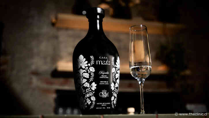 La historia de Casa Maia, el tequila creado por chilenos que se consagró en México y fue premiado como uno de los mejores del mundo